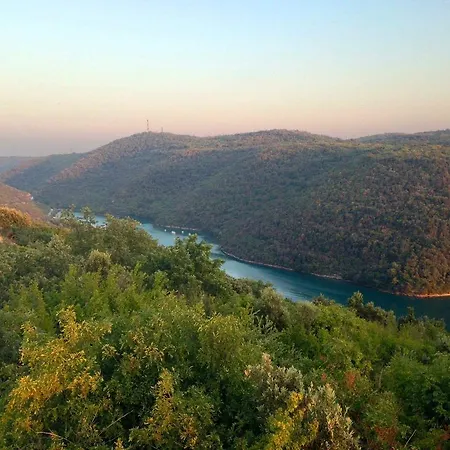 דירה Alice רוביני